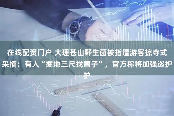 在线配资门户 大理苍山野生菌被指遭游客掠夺式采摘：有人“掘地三尺找菌子”，官方称将加强巡护