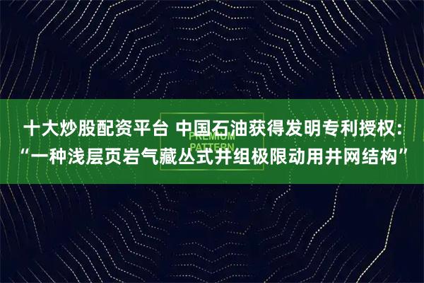十大炒股配资平台 中国石油获得发明专利授权：“一种浅层页岩气藏丛式井组极限动用井网结构”