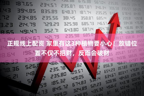 正规线上配资 家里有这3种植物要小心！放错位置不仅不招财，反而会破财